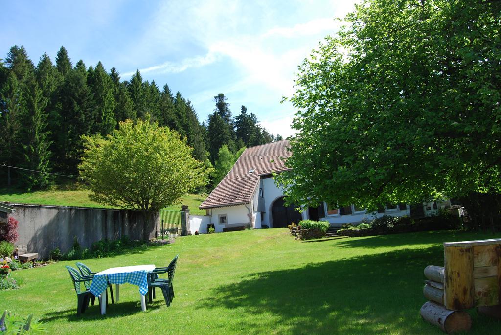 Chambre D'Hotes Kieffer Le Grand Bienfaisy Remiremont Bagian luar foto