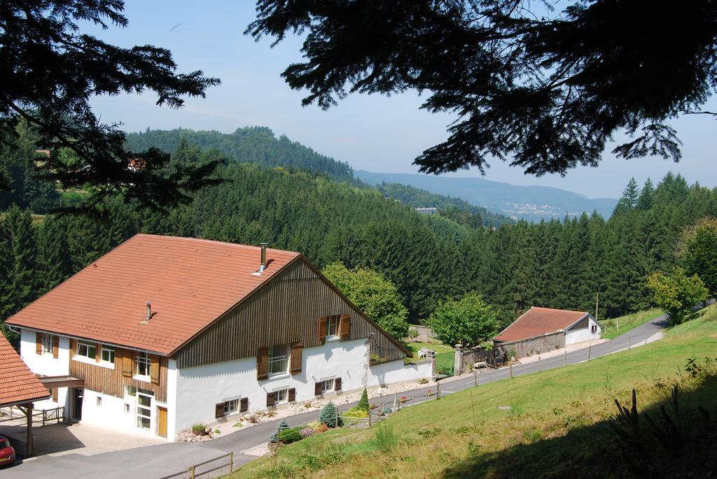 Chambre D'Hotes Kieffer Le Grand Bienfaisy Remiremont Bagian luar foto